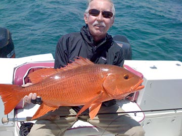 Fly fishing for snappers at Cabo San Lucas