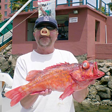 Swine flu fishing at Ensenada, Baja California