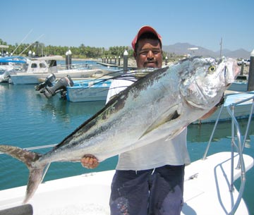 Big San Jose del Cabo roosterfish