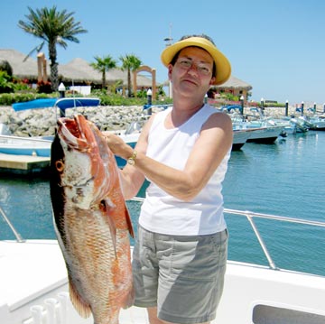 Dog snapper at San Jose del Cabo