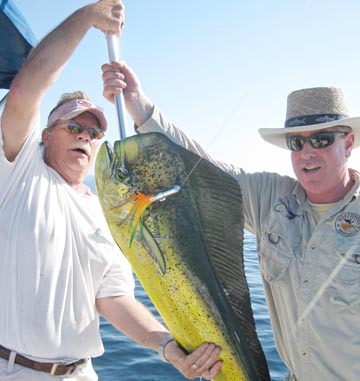 Dorado fishing at Mulege