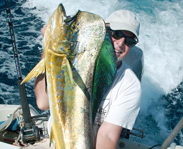 Dorado caught at Mulege