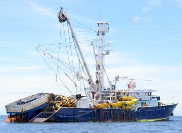 Purse seiner north of Loreto 2