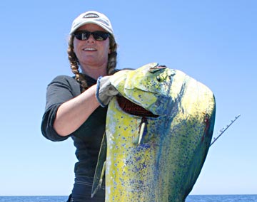 Dorado caught at San Carlos, Sonora, Mexico 1