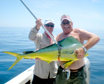 Dorado caught at Mulege