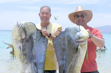 Dorado caught at La Paz