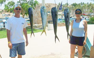 Fishing at San Jose del Cabo 1