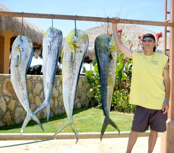 Dorado caught at San Jose del Cabo