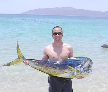 Dorado caught at La Paz