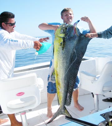 Dorado caught at East Cape