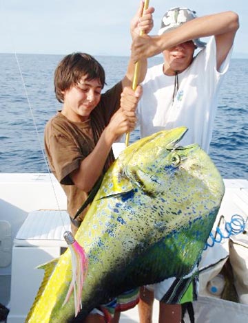 Large dorado caught at Loreto