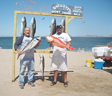 Fishing at Bahia de los Angeles, Mexico