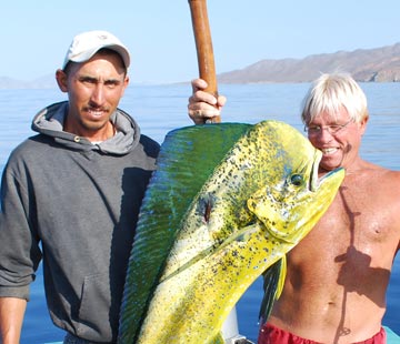 Dorado caught at La Paz