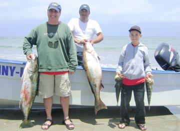 White seabass and yellowtail caught at Ensenada