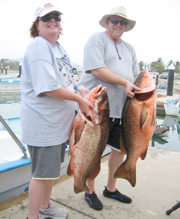 Dog snapper caught at San Jose del Cabo