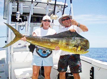 Dorado caught at Loreto