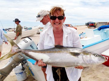 Summer yellowtail caught at La Paz