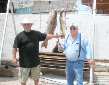 Hot weather fishing at Rocky Point