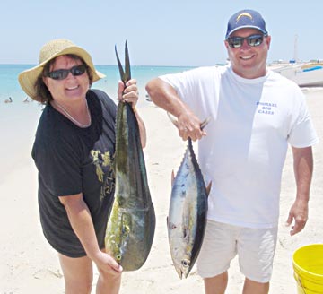 Fish catch at La Paz