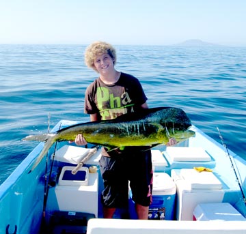 Dorado caught at Loreto