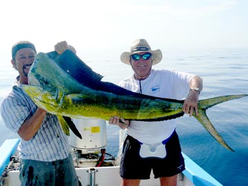 Dorado caught at La Paz