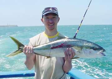 Yellowtail caught at Ensenada