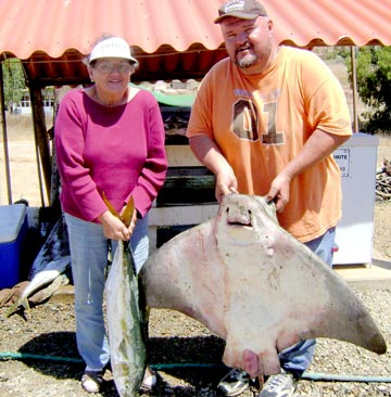 Sportfishing panga catch at Ensenada