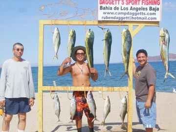 Daggett's Camp at Bahia de los Angeles