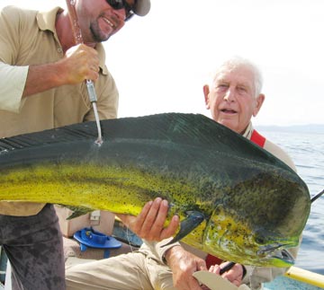 Dorado caught at La Paz