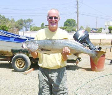 White seabass caught at Ensenada