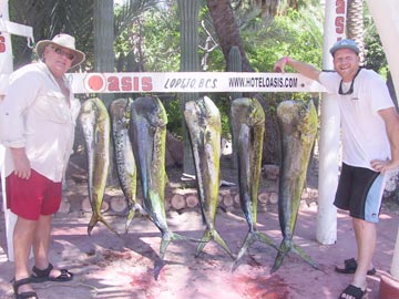 Dorado caught at Loreto