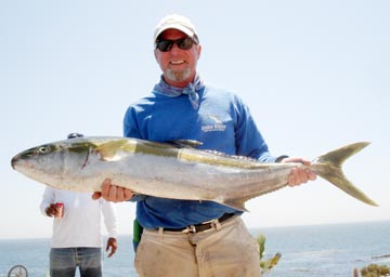 Yellowtail caught at Bahia Asuncion