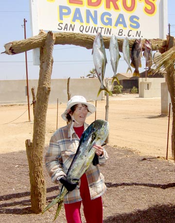 Dorado caught at San Quintin