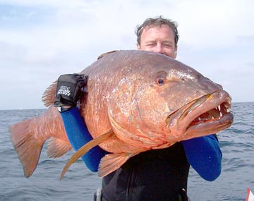 Puerto Vallarta Mexico Spear Fishing Photo 1