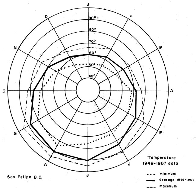 San Felipe graphic 5