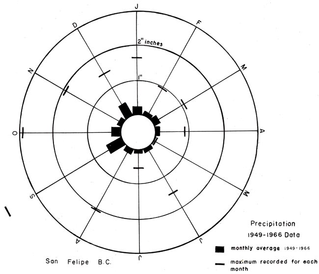 San Felipe graphic 6