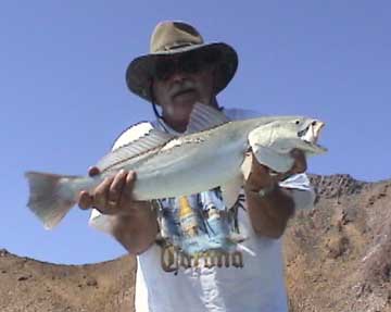 San Felipe Fishing Photo 1