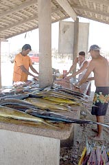 San Jose del Cabo (Los Cabos), Mexico 1