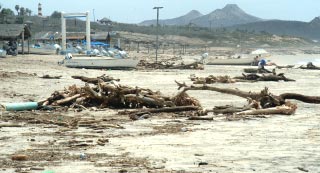 San Jose del Cabo (Los Cabos), Mexico 1