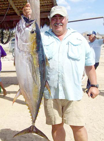 Yellowfin tuna