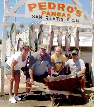 White seabass caught with Pedro's Pangas