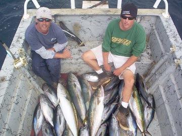 Yellowtail fishing at San Quintin, Mexico