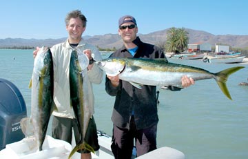 Yellowtail fishing off San Lucas Cove, Mexico